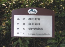 指示牌17