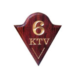 T(mn)133
